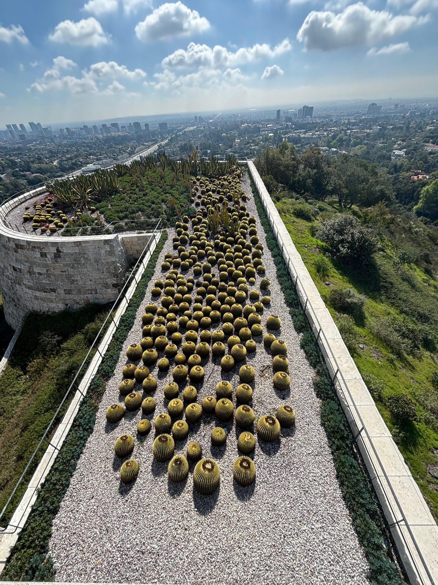 A Barrel of Fun: Exploring Different Types of Barrel Cacti - The Cactus ...