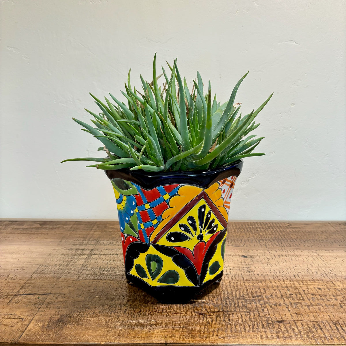 Tulip Talavera Pot