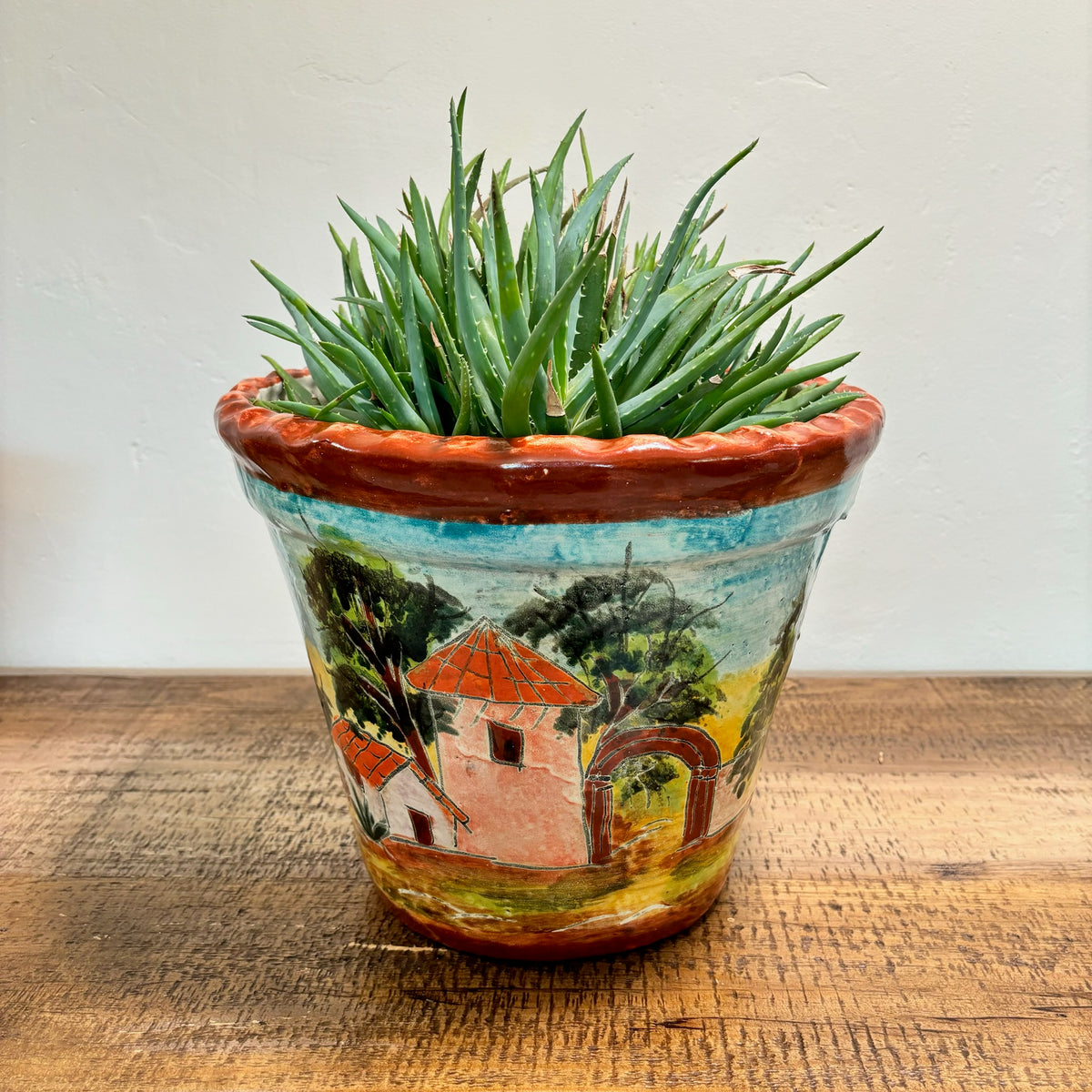 Hand-made and Hand-Painted Talavera Pot Made in Mexico For Sale Online With a Aloe Succulent Plant in It.