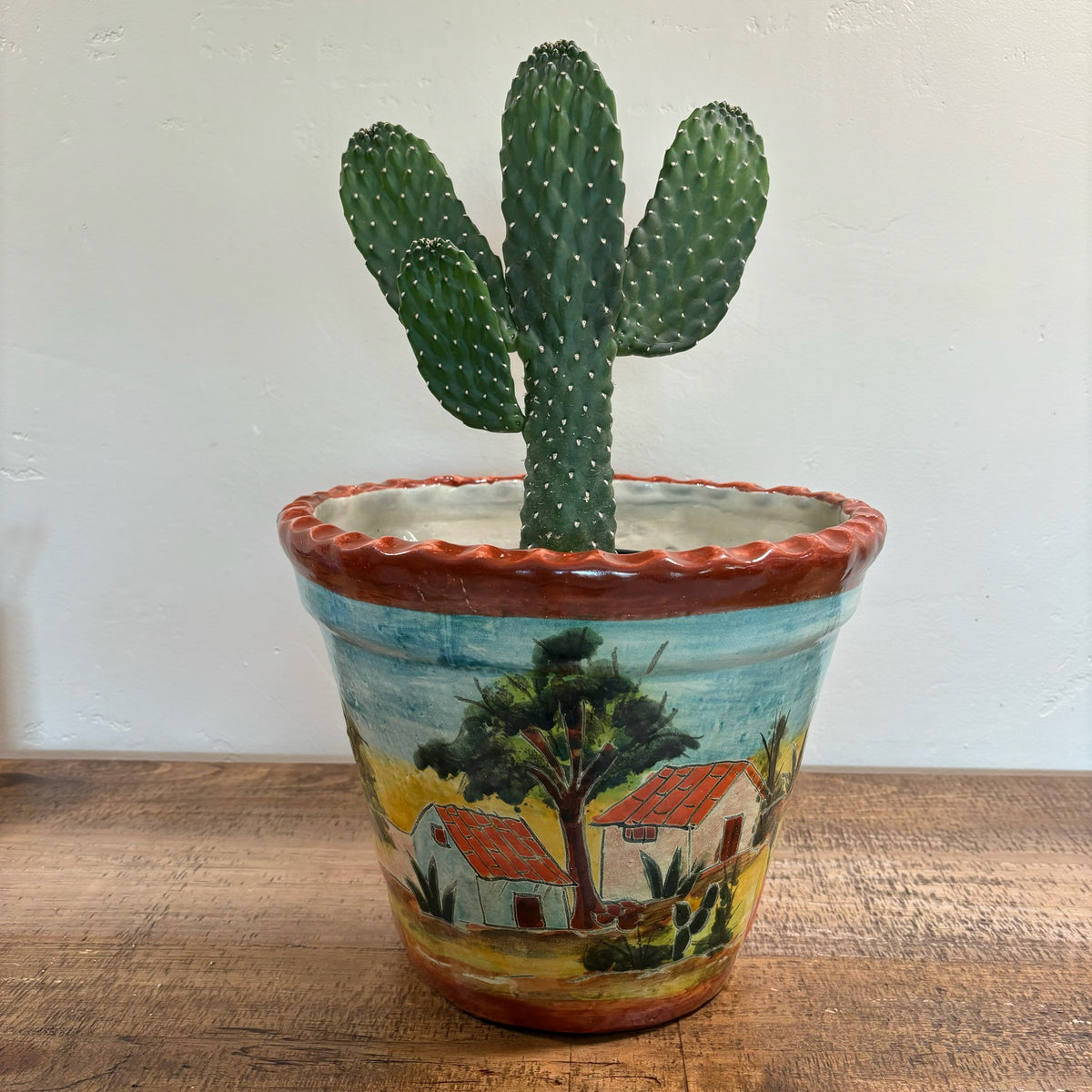 Hand-made and Hand-Painted Talavera Pot Made in Mexico For Sale Online With a Tall Cowboy Cactus Plant in It.