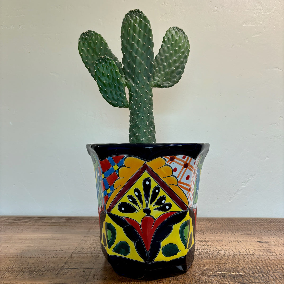 Tulip Talavera Pot