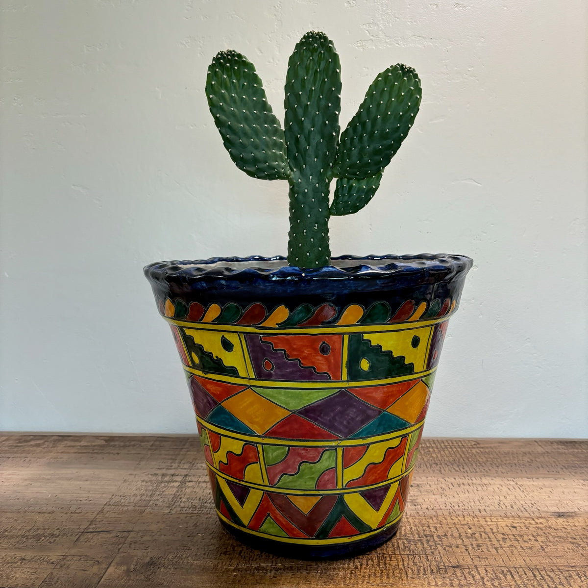 Hand-made and Hand-Painted Talavera Pot For Sale From Mexico Planted With Cowboy Cactus Prickly Pear For Sale