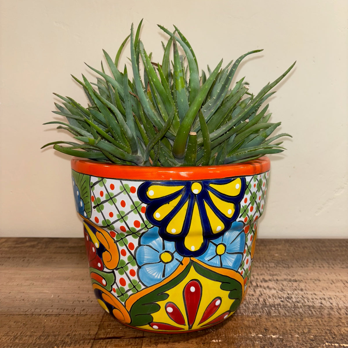 Hand-made Hand-painted Talavera pottery from Mexico for sale online with Aloe plant succulent planted in it.