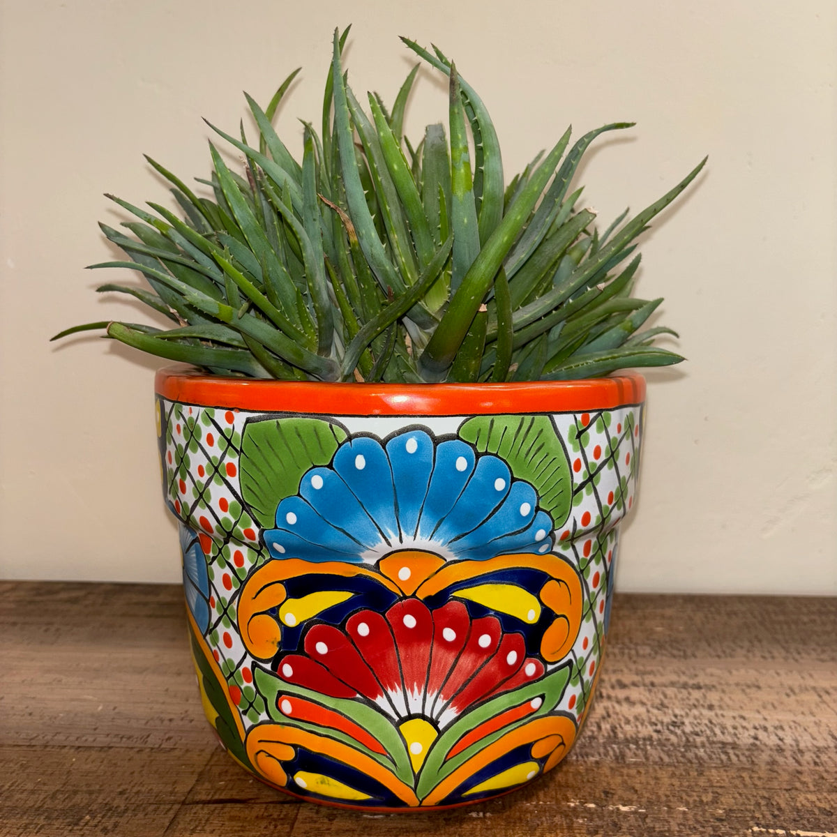 Hand-made Hand-painted Talavera pottery from Mexico for sale online with Aloe plant succulent planted in it.