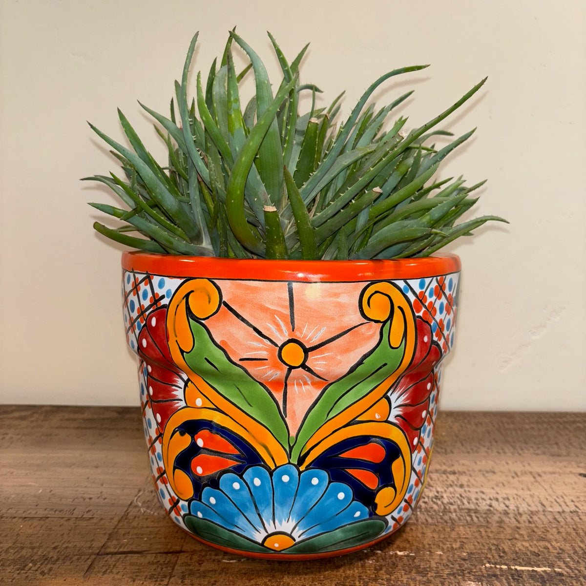 Hand-made Hand-painted Talavera pottery from Mexico for sale online with Aloe plant succulent planted in it.