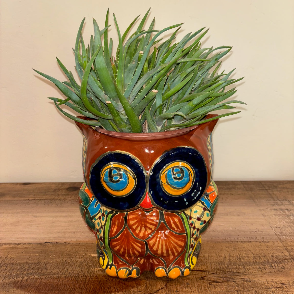 Hand-made Hand-painted colorful brown Owl Talavera pottery from Mexico for sale online with Aloe succulent planted in it.  