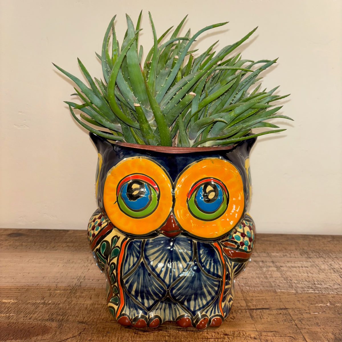 Hand-made Hand-painted colorful blue Owl Talavera pottery from Mexico for sale online with Aloe succulent planted in it.  