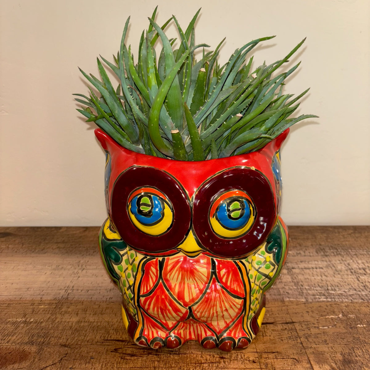 Hand-made Hand-painted colorful red Owl Talavera pottery from Mexico for sale online with Aloe succulent planted in it.  