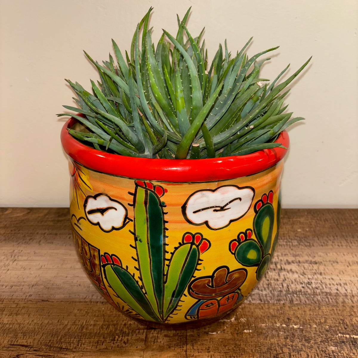 Hand-made Hand-painted colorful Talavera pottery from Mexico, Ranchero theme cactus and sleeping cowboy design, for sale online with aloe plant succulent planted in it.  