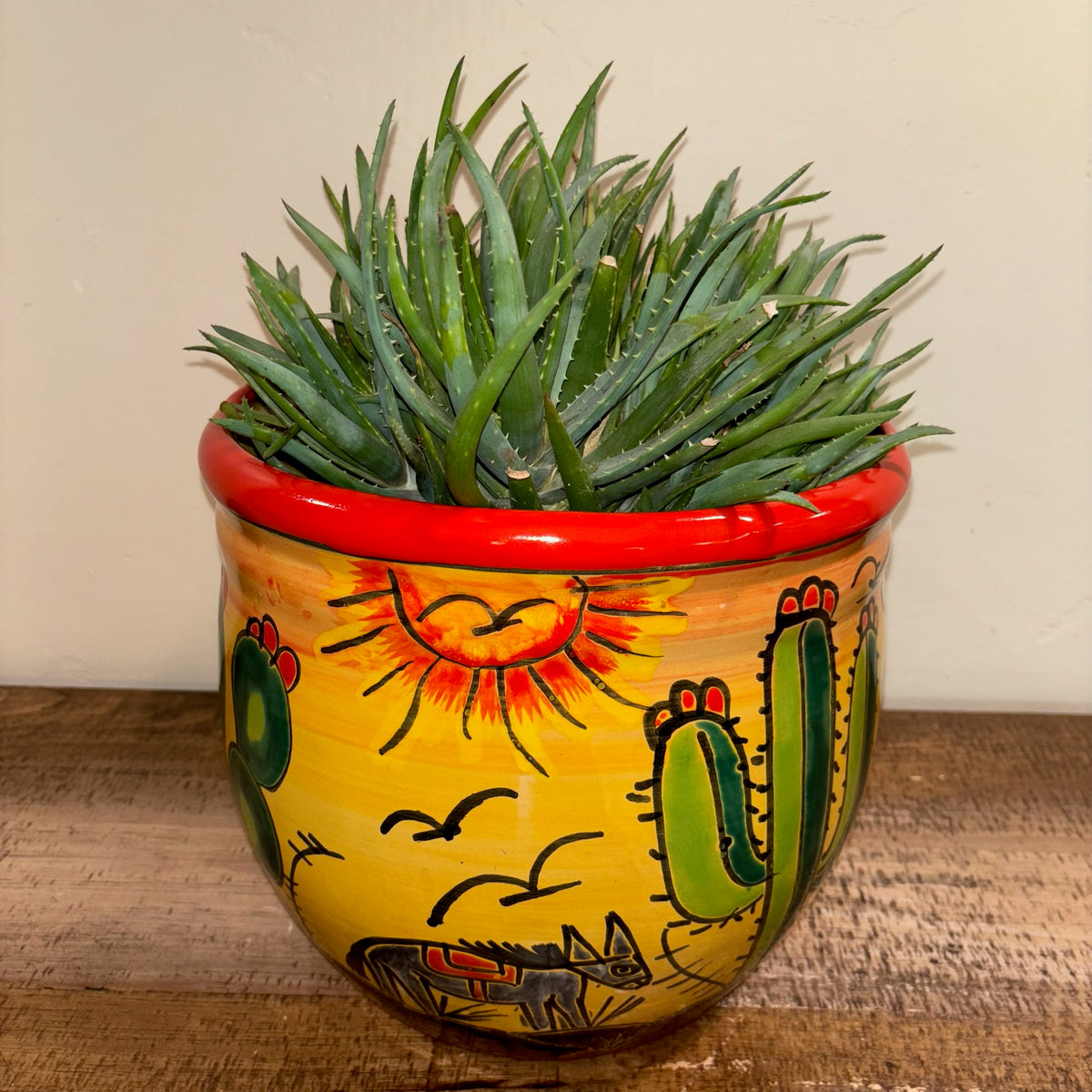 Hand-made Hand-painted colorful Talavera pottery from Mexico for sale online with aloe plant succulent planted in it.  