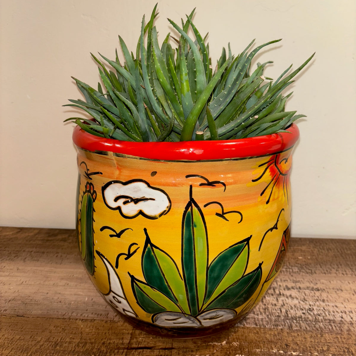 Hand-made Hand-painted colorful Talavera pottery from Mexico for sale online with Aloe succulent planted in it.  