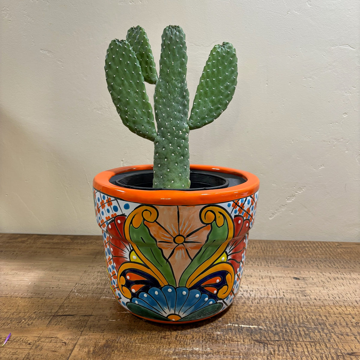 Hand-made Hand-painted Talavera pottery from Mexico colorful green Mariposa butterfly desing for sale online with Cowboy Cactus planted in it.