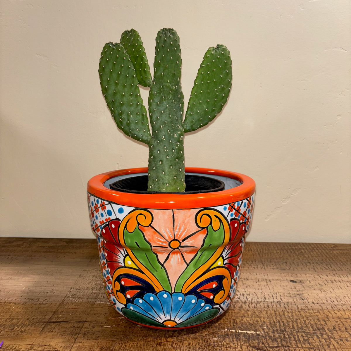 Hand-made Hand-painted Talavera pottery from Mexico Mariposa butterfly design for sale online with Cowboy Cactus planted in it.