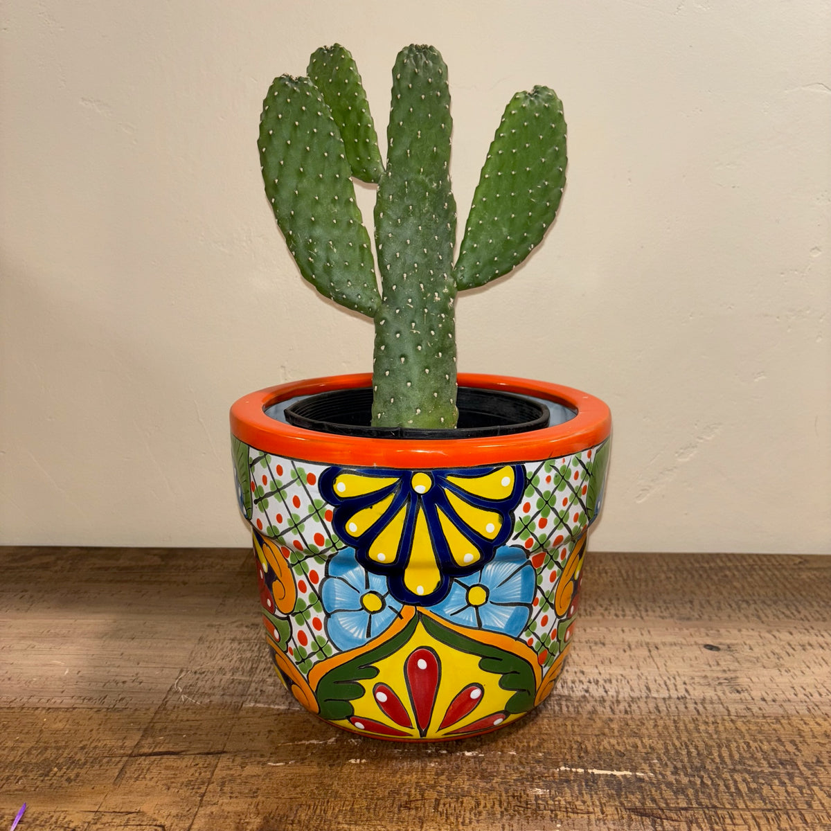 Hand-made Hand-painted Talavera pottery from Mexico for sale online with Cowboy Cactus planted in it.