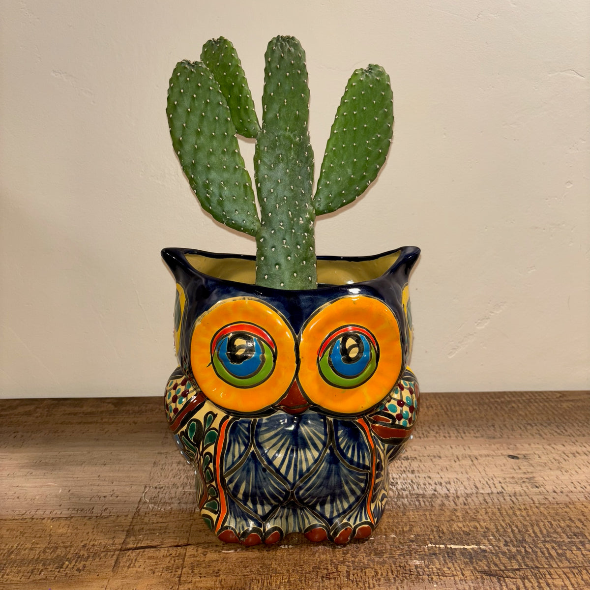 Hand-made Hand-painted colorful blue Owl Talavera pottery from Mexico for sale online with Cowboy cactus plant planted in it.