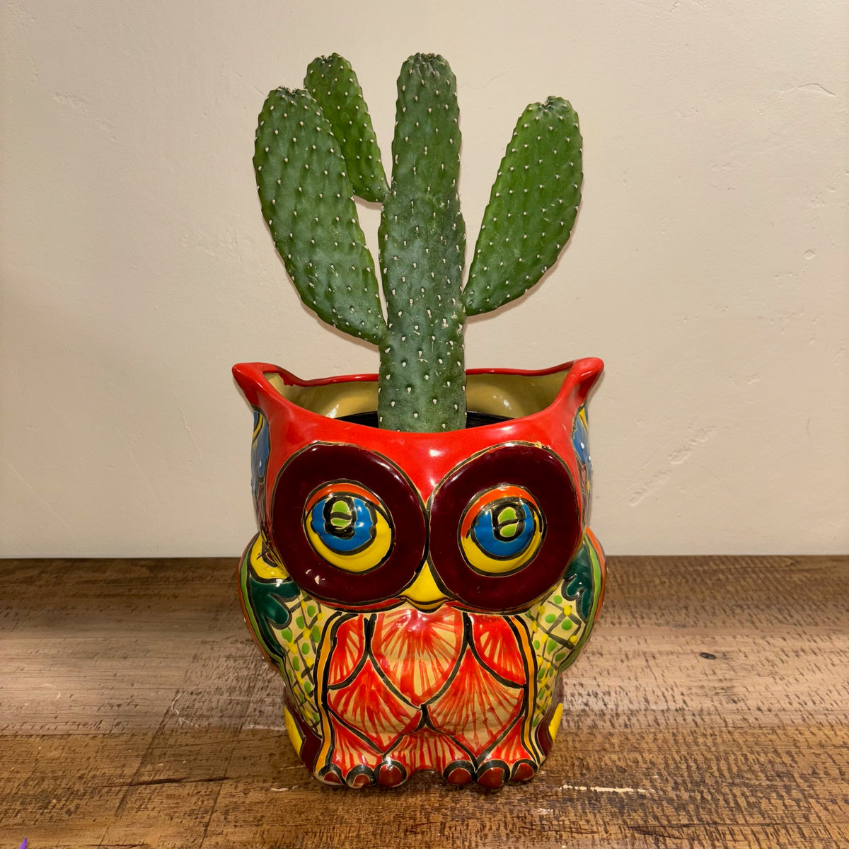 Hand-made Hand-painted colorful red Owl Talavera pottery from Mexico for sale online with Cowboy cactus plant planted in it.