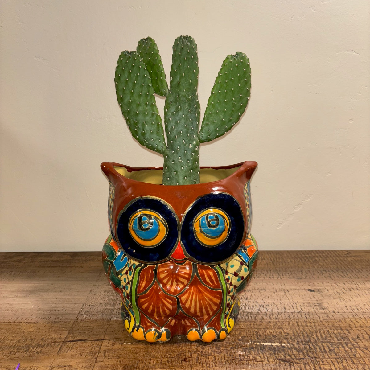 Hand-made Hand-painted colorful brown Owl Talavera pottery from Mexico for sale online with Cowboy cactus plant planted in it.