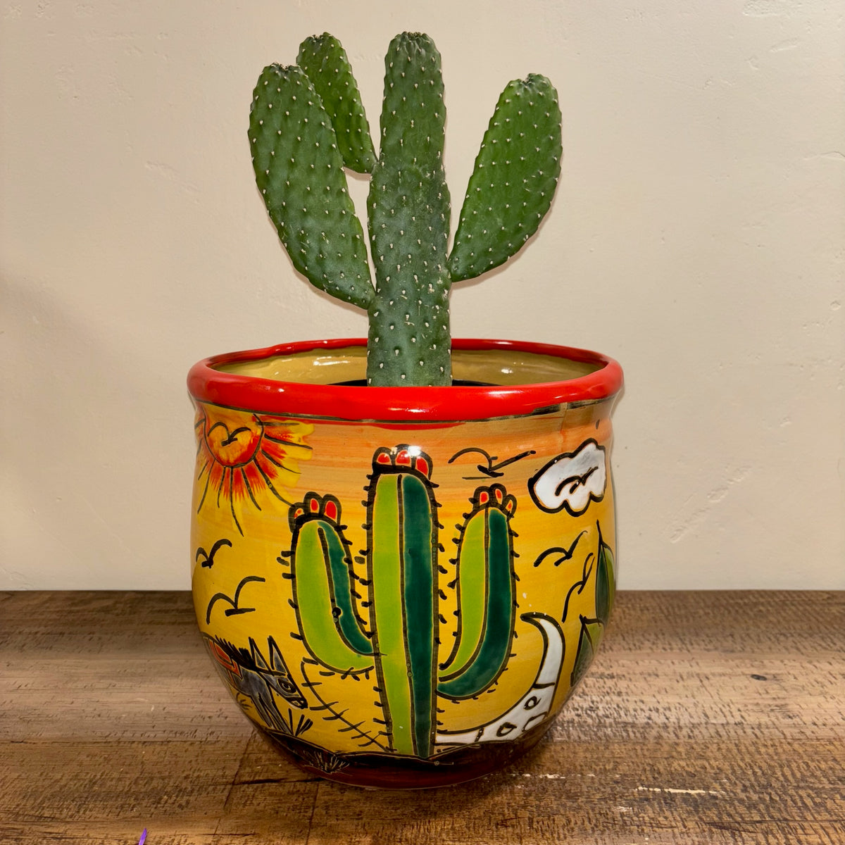 Hand-made Hand-painted colorful Talavera pottery Cactus design from Mexico for sale online with Cowboy cactus planted in it.  