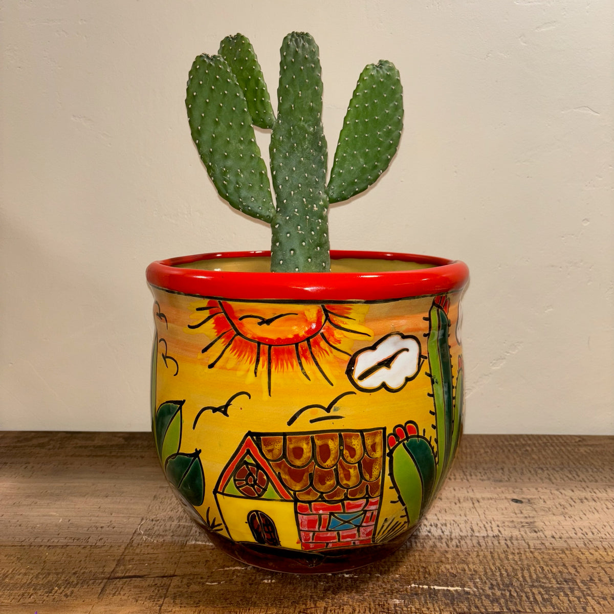 Hand-made Hand-painted colorful Talavera pottery from Mexico Colorful Casita house design for sale online with Cowboy cactus planted in it.  