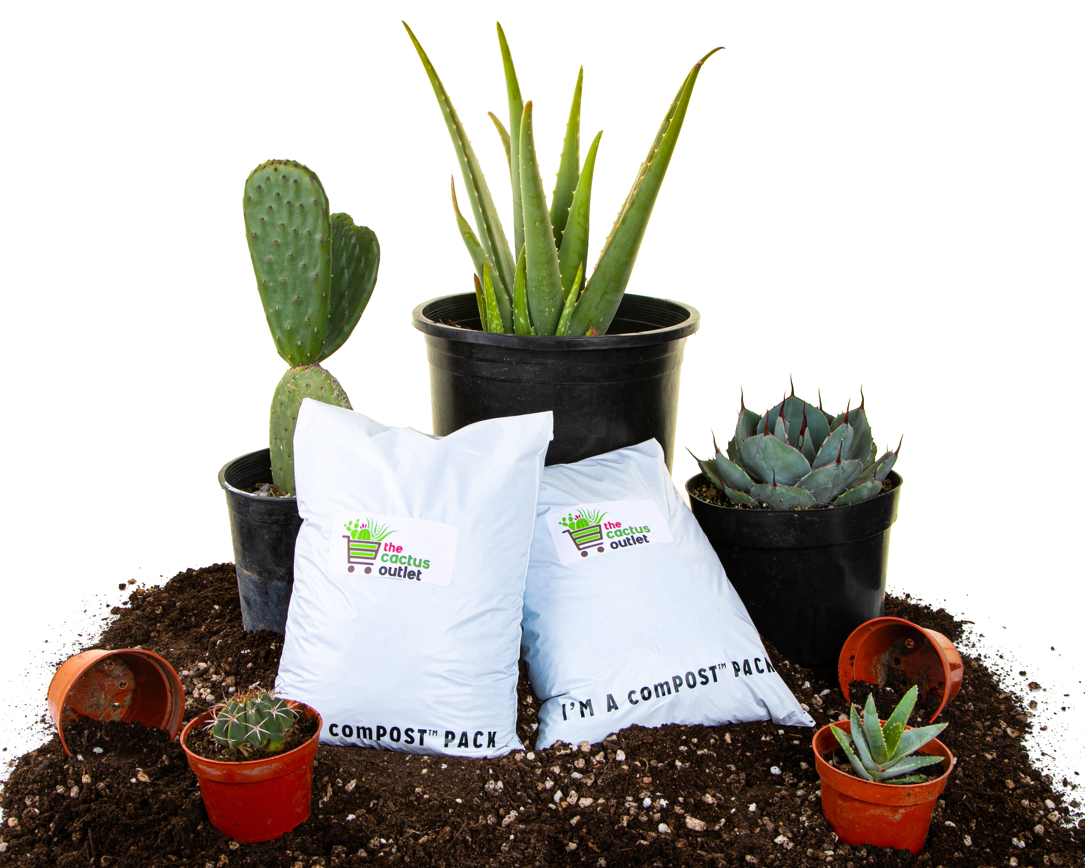 Cactus and Succulent Growers Soil - The Cactus Outlet